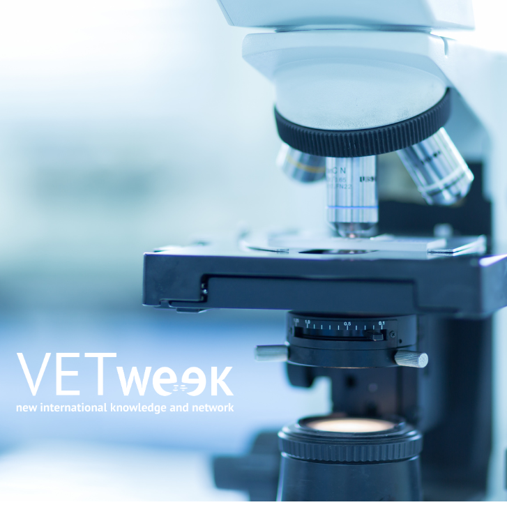 Design uden navn (16)